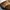 ROCKPORT Leather Loafer woman's photo 6