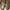 ROCKPORT Leather Loafer woman's photo 3