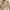 overall dress knitwear white photo 1