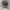 Two Tone Realtree Camo Mossy Oak Ripped photo 8