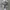 ISCO Industries Realtree Camo photo 8