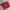 Kaso crop wanita photo 1