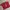 Kaso Crop Wanita