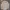 beige white turtleneck striped photo 1