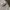 Southpole Vintage Y2K Short Pria white photo 4