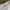 Southpole Vintage Y2K Short Pria white photo 7