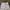 Southpole Vintage Y2K Short Pria white photo 5
