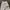 Southpole Vintage Y2K Short Pria white photo 3