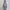Jaket fashion parka abu polos photo 1