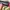 hairdryer one step brush and stayler photo 2