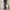 hairdryer one step brush and stayler photo 1