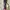 Hairdryer One Step Brush And Stayler