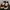 NIKE AIR FORCE 1 FAMILIA SIAMPRE photo 3