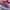 Hoka Carabon X 3 photo 2