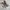 Salomon Glide Max photo 1