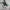 Salomon Glide Max photo 1