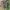 SHORT PANTS CARGO LAFUMA  photo 1
