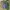SHORT PANTS CARGO LAFUMA  photo 3
