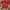 Kaos Hush Puppies Merah Basset Hound Second Original Prelove photo 1