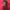 Converse Casual Sportswear Bag Pria red photo 4