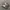 New balance 1906 photo 1