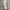 ADIDAS CARGO LONG PANTS BROKEN WHITE photo 2