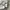 ADIDAS CARGO LONG PANTS BROKEN WHITE photo 7
