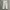 ADIDAS CARGO LONG PANTS BROKEN WHITE photo 1