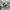 ADIDAS CARGO LONG PANTS BROKEN WHITE photo 8