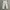 ADIDAS CARGO LONG PANTS BROKEN WHITE photo 4
