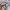 ADIDAS CARGO LONG PANTS BROKEN WHITE photo 5