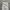 ADIDAS CARGO LONG PANTS BROKEN WHITE photo 3