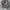 Twotone Realtree Camo Mossy Oak photo 7