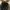 Neil Barrett Luxury Leather jacket Wanita green black photo 3