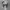 Topi Realtree Camo Mossy Oak photo 8
