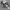 Topi Realtree Camo Mossy Oak photo 1