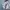Connexion grey pants photo 3