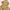 Mustard Nylon Outer photo 2