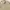 Beige Nylon Outer photo 2
