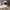 Adidas Streetwear Sportswear Tracksuit Pria white black photo 5