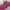 TORY BURCH (Authentic) Mini Amanda Slingbag  photo 8