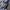 ADIDAS X CP COMPANY ITALIA SPZL , ADIDAS X CP COMPANY ITAL photo 1