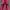 Mizuno Streetwear Sportswear Tracksuit Pria pink black photo 2