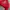 SUKAJAN DISTRESED SIZE M photo 7