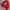 SUKAJAN DISTRESED SIZE M photo 4