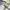 [ CASTELBAJAC BAGGY PANTS, Wide Leg, Casual Pants ]
