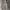 Stussy Tiger Camo Hooded Parka Military Jacket photo 10