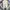 [ CASTELBAJAC BAGGY PANTS, Wide leg, Casual Pants ] photo 1