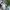 VTG LONG PANTS CAMO BENNETON photo 4