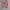 Coquette Minimalist Skirt Wanita Multicolor Pink